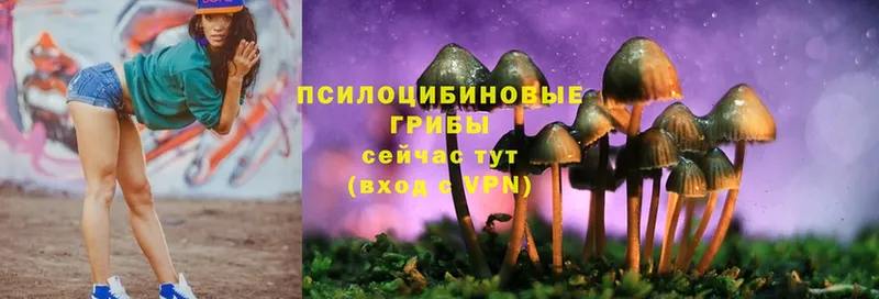 даркнет состав  Краснотурьинск  Псилоцибиновые грибы Psilocybine cubensis 